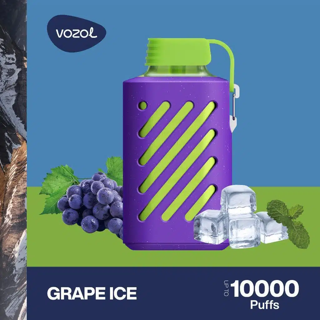 Vozol Gear 10000 Puffs Mixed Berries Vozol Gear 10000 Puffs Mixed Berries