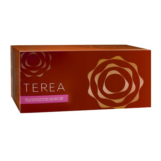 Heets TEREA Bronze from Kazakhstan Heets Terea Bronze From Kazakhstan