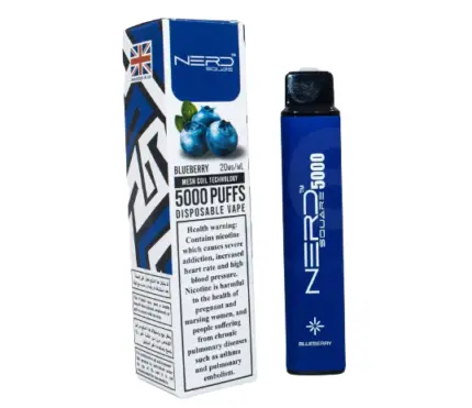 NERD SQUARE 5000 puffs Vape Blueberry